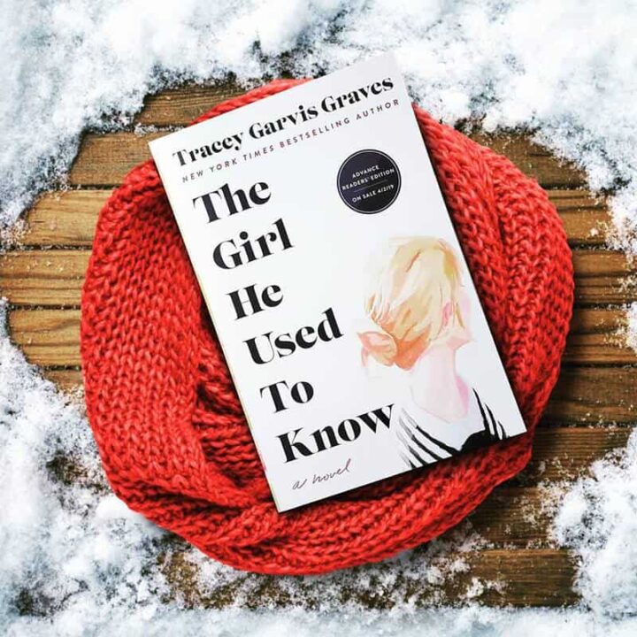 The Girl He Used to Know Book Review