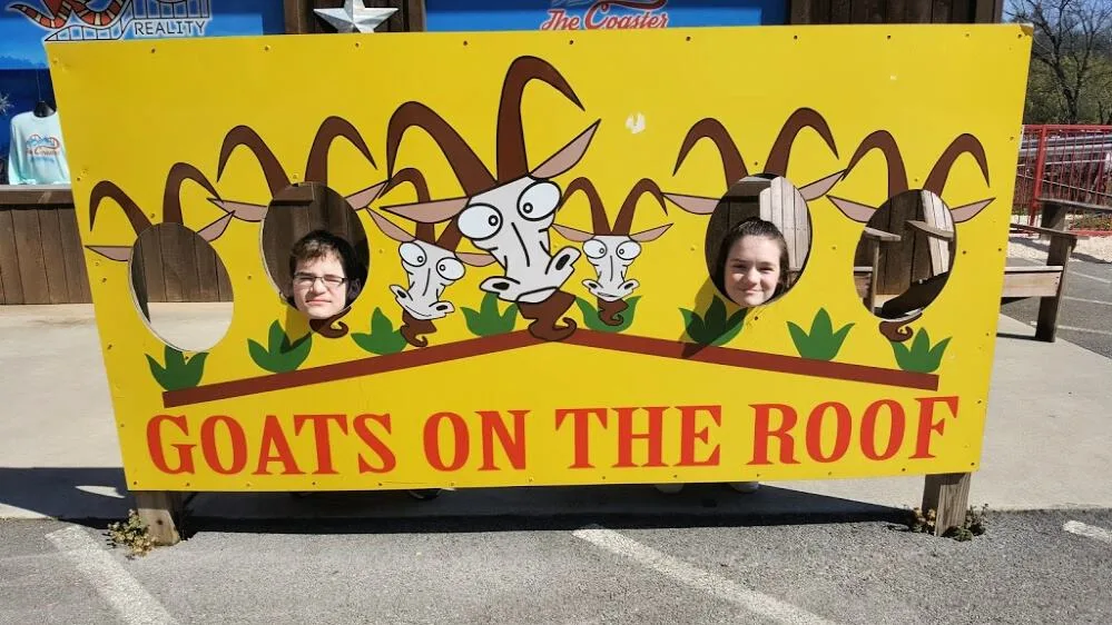 photo opp goats on the roof