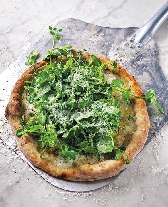 pizza loaded with greens