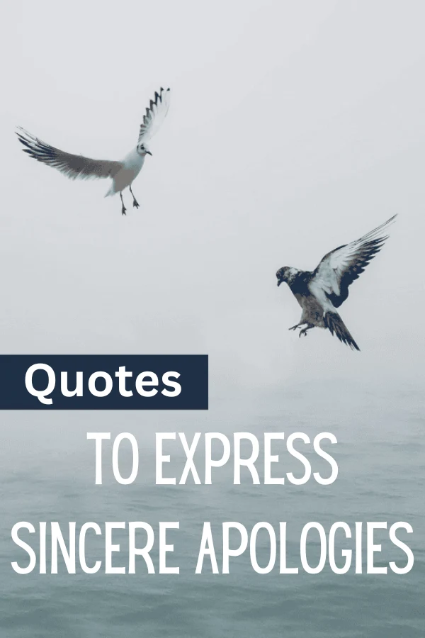 Two seagulls soaring in a gray sky, embodying freedom and calmness in nature&rsquo;s serene backdrop.