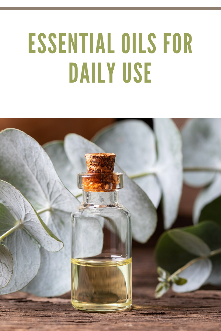 eucalyptus essential oil with eucalyptus branch