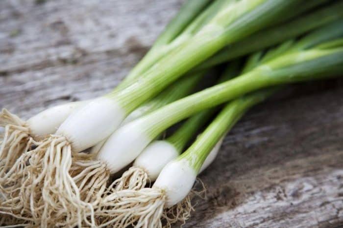 Fresh green onions with vibrant green stalks, adding a crisp and mild flavor to Caribbean and global cuisine.