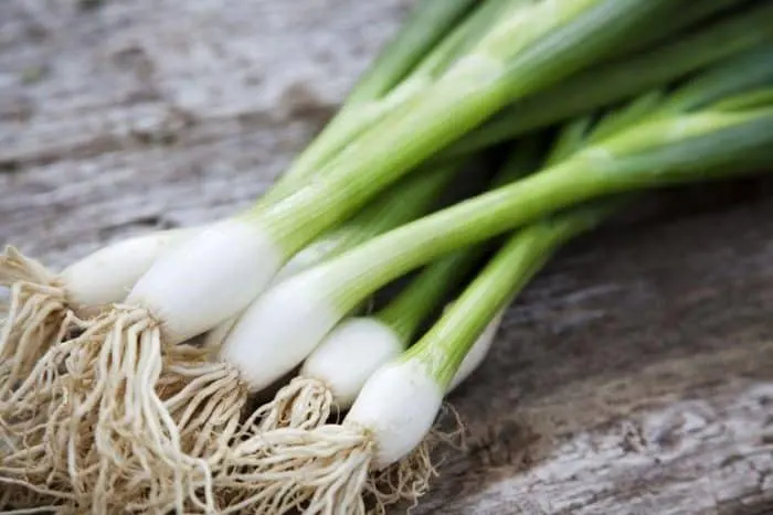 Fresh green onions with vibrant green stalks, adding a crisp and mild flavor to Caribbean and global cuisine.