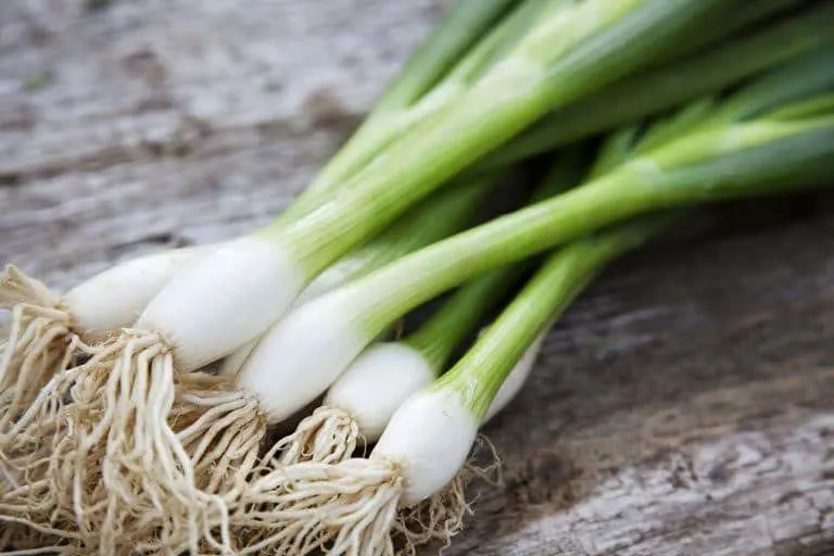 green onions