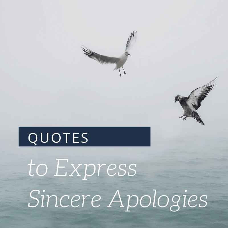 Quotes to Express Sincere Apologies