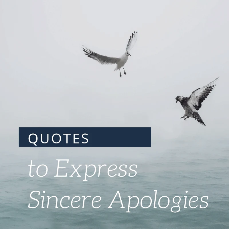 Quotes to Express Sincere Apologies