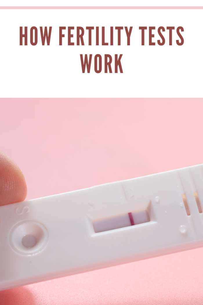 Hand Holding Pregnancy Test Kit on a Wood Desk.