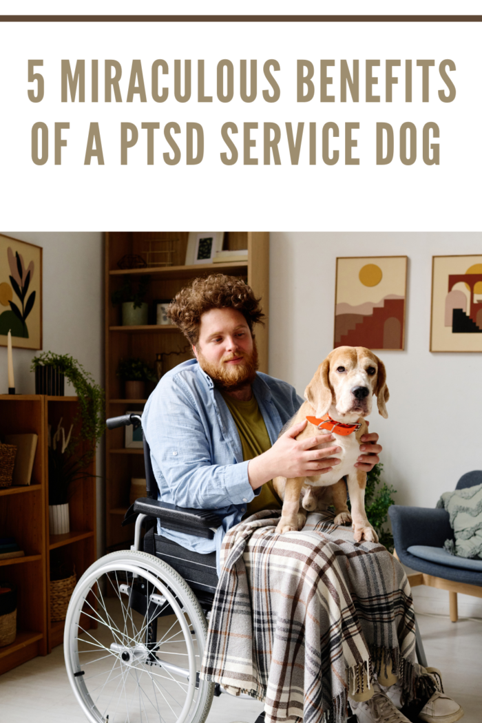 Man with Disability Spending Time with Service Pet