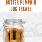 These peanut butter dog treats fare simple to make and only contain four ingredients, which you’ll probably already have lying around your house.