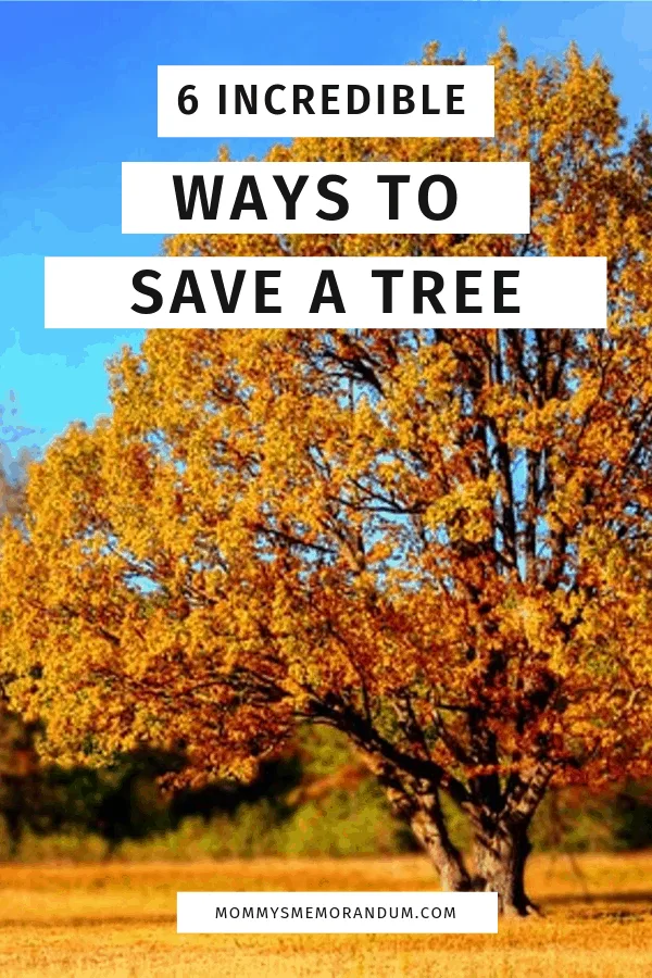 Knowing how to save a tree that is dying not only brings you the fulfillment of nurture, but it can help save the tree and the environment also.