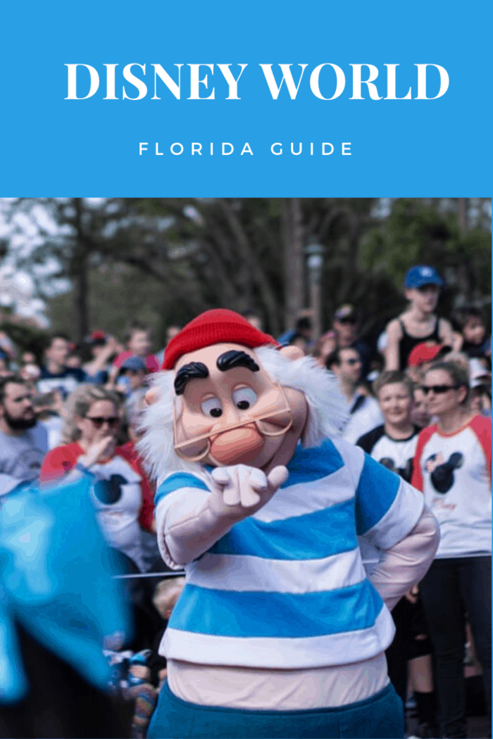 Disney World Florida Guide: Characters. Scattered around the theme park, you will find many of your beloved characters hanging around. From Mickey and Minnie to Cinderella and her prince charming, you are sure to find your favorite character present in Disneyworld.