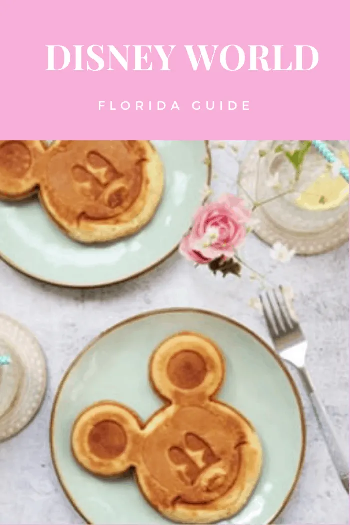 Disney World Florida Guide: Food and Restaurants. Because Disneyworld is such a big place, you will find multiple restaurants, which is great if you dislike, or are allergic to certain types of food. In fact, you are guaranteed to find a restaurant based on almost every movie there is.