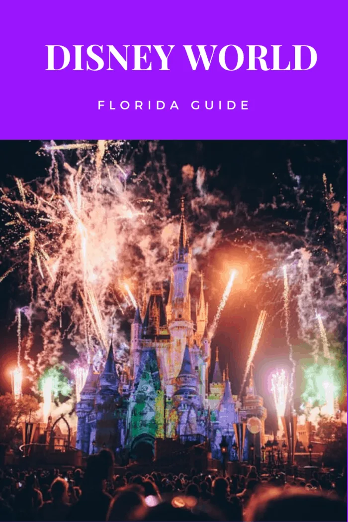 Disneyworld can be overwhelming if you are not used to it. To help you out, here is what you should expect when visiting the magical world of Disneyworld.