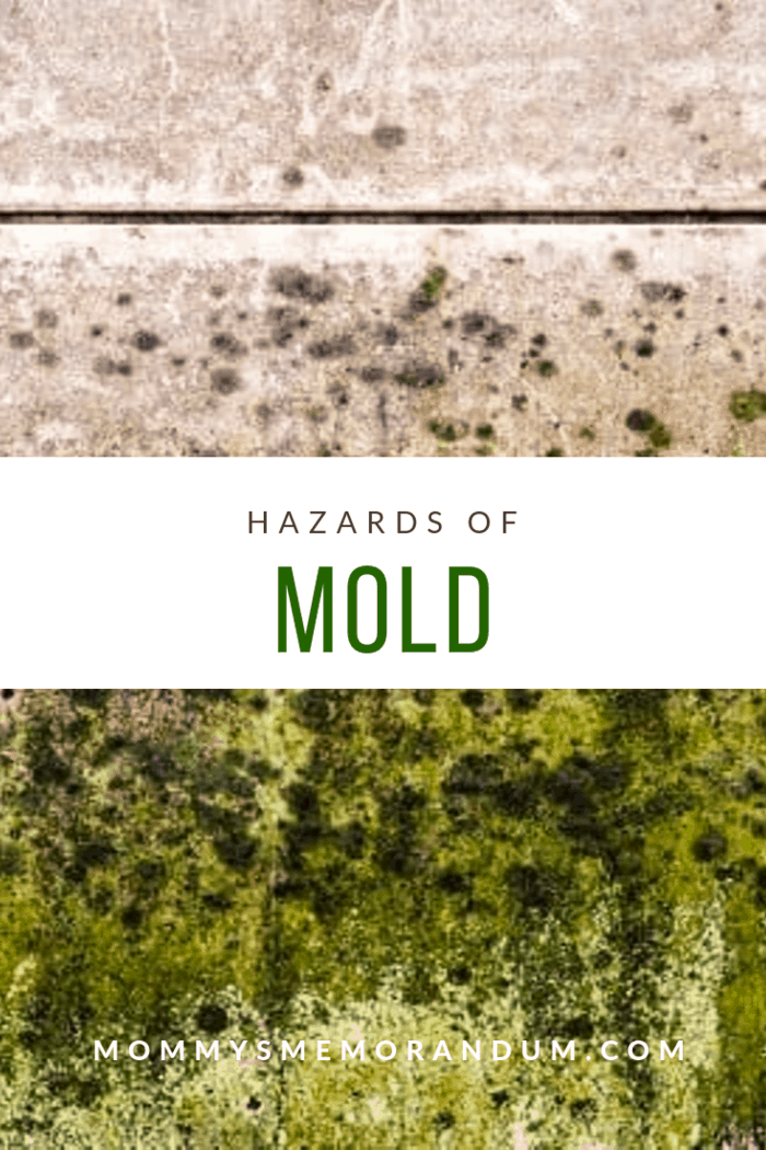 Molds, although they are a very common problem, can cause serious health issues. Learn more about the hazards of mold.
