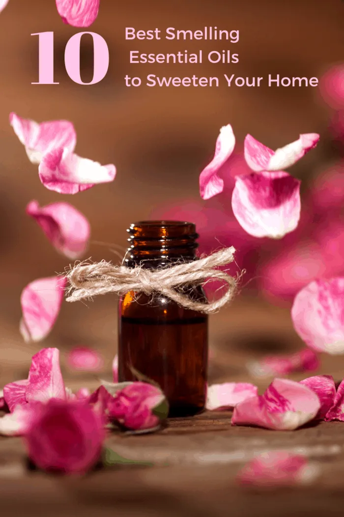 Geranium oil in amber bottle with geranium petals falling.