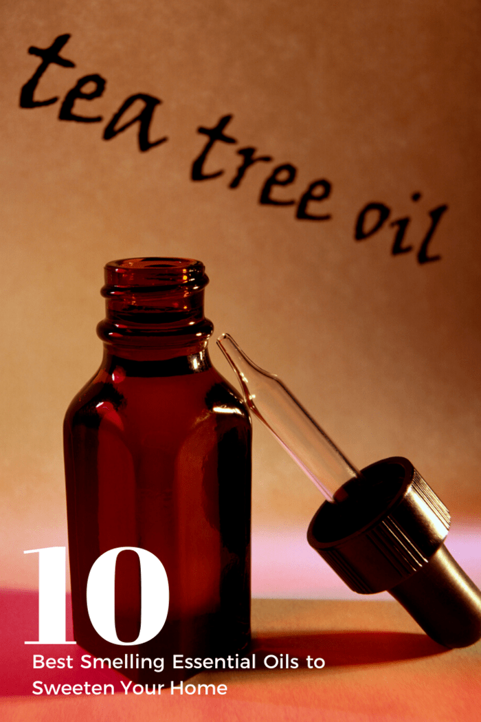 All you need to do is add a few drops of tea tree oil to a spray bottle of water and you'll be good to go.