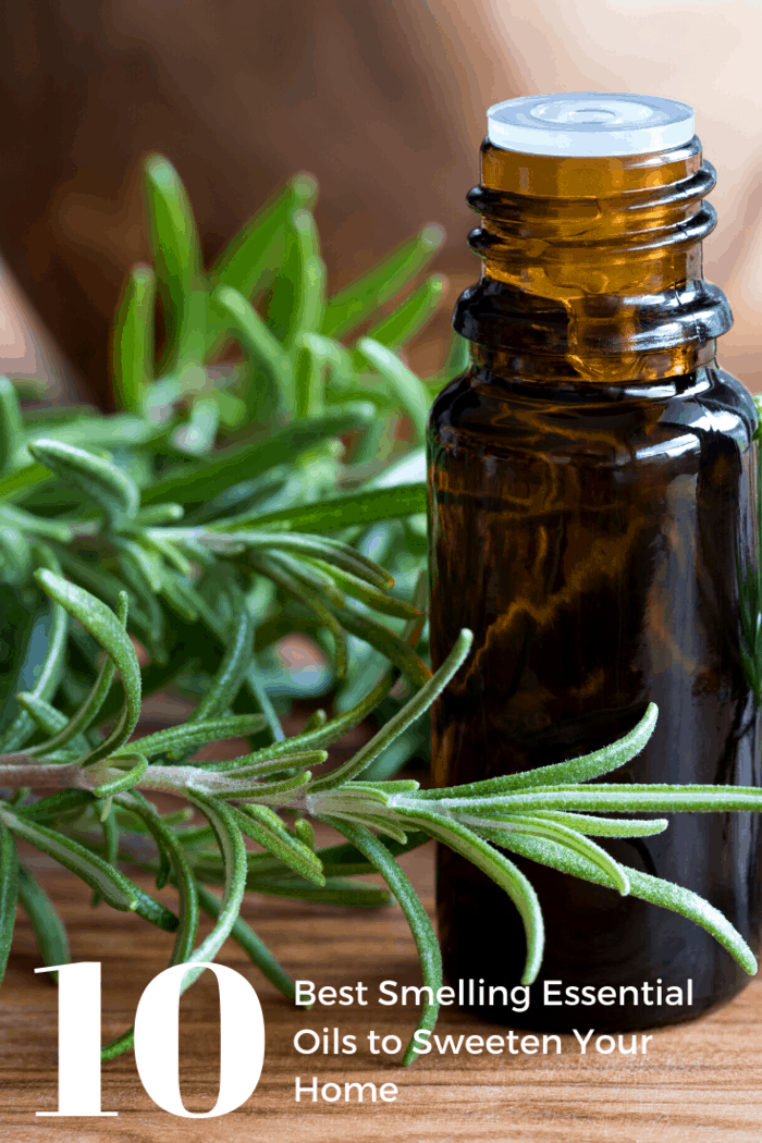 We suggest adding a few drops of rosemary essential oil to your laundry detergent or dish soap to keep things smelling fresh.
