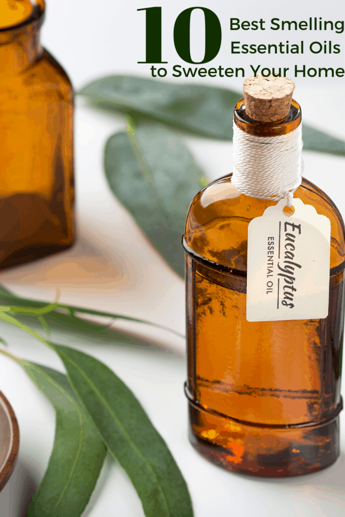 eucalyptus oil in amber bottle with fresh eucalyptus in the background.