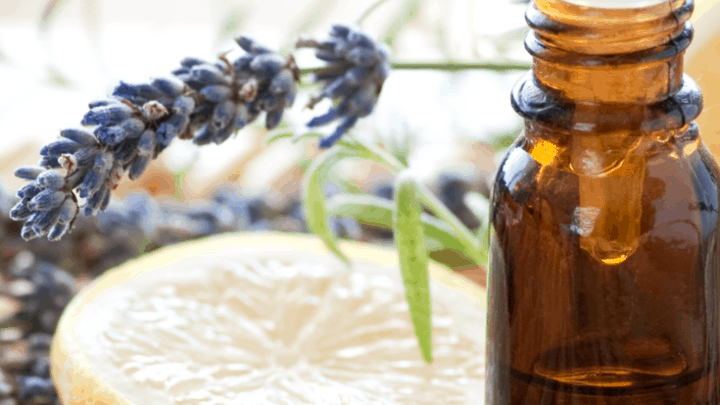 Check out this guide to discover the best smelling essential oils to sweeten your home.