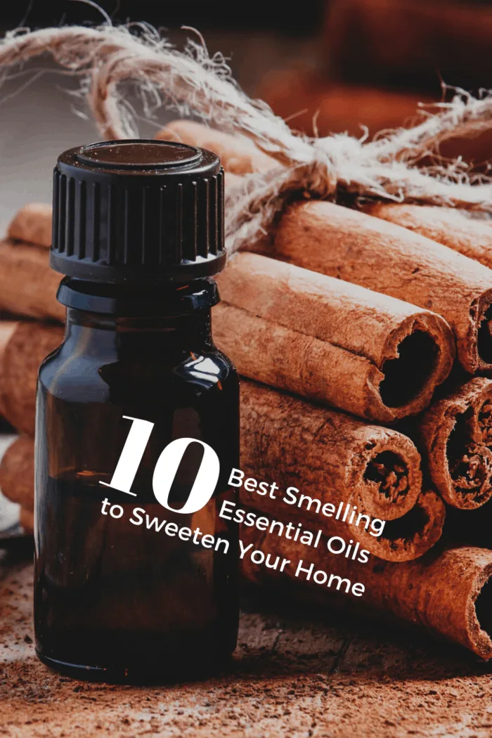 Cinnamon essential oil in bottle with cinnamon sticks stacked in background.