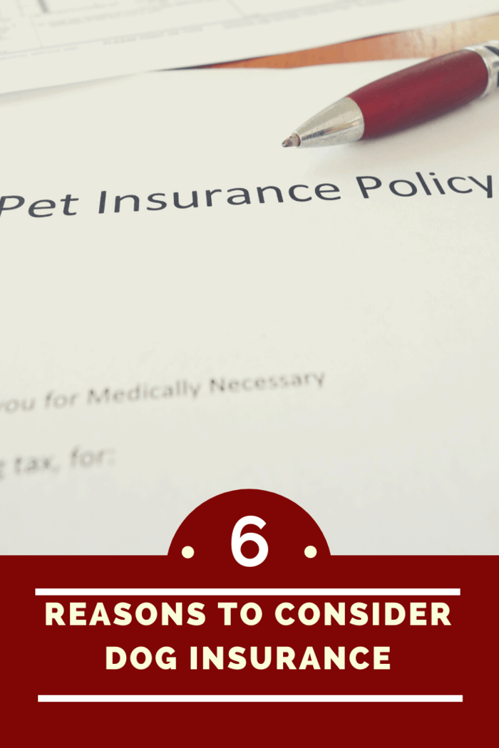 With pet insurance, you will have peace of mind knowing that medical costs will be catered for by your insurer, provided the condition is covered under your policy and your pet doesn’t have any conditions excluded due to any pre-existing conditions.