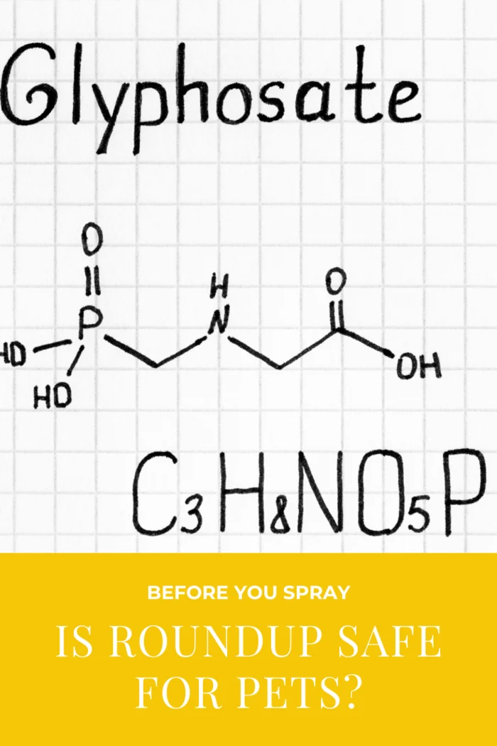 Glyphosate, Roundup's active ingredient, is now considered a carcinogen for humans and research links it to antibiotic resistance and hormone disruption.