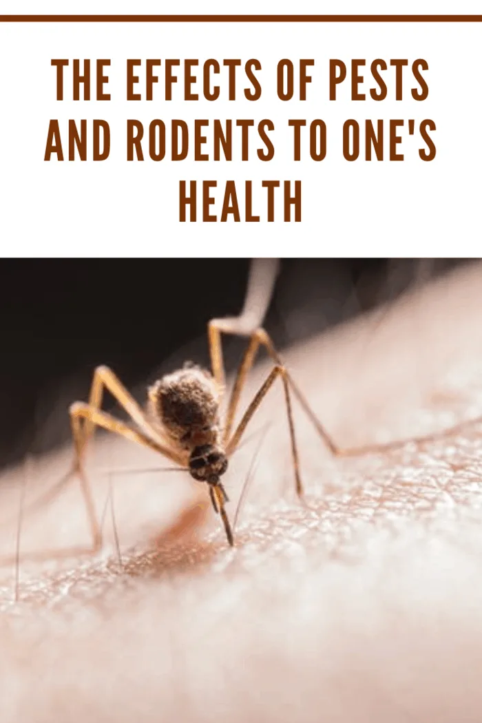 Close-up of a mosquito biting human skin, illustrating the impact of pests on health.