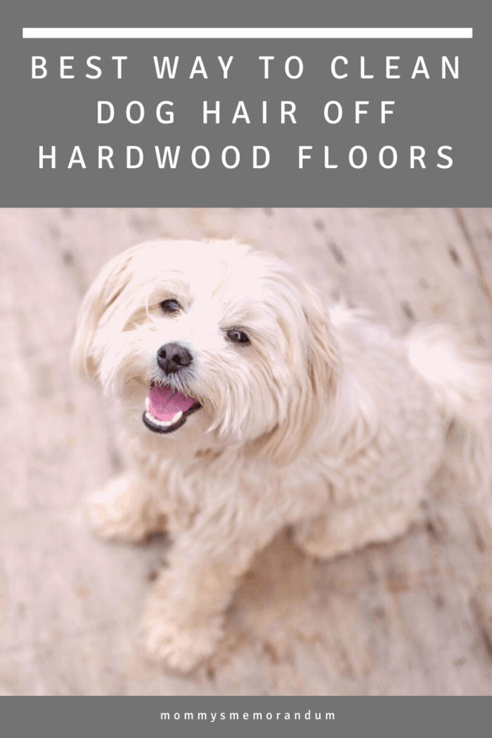 To help you out of your predicament, we’re going over some tips for the best way to clean dog hair off hardwood floors without breaking your back.   