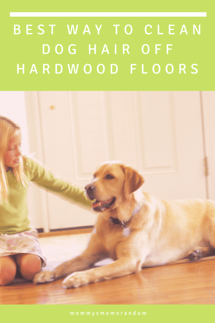 Best way to clean dog hair off hardwood floors best sale