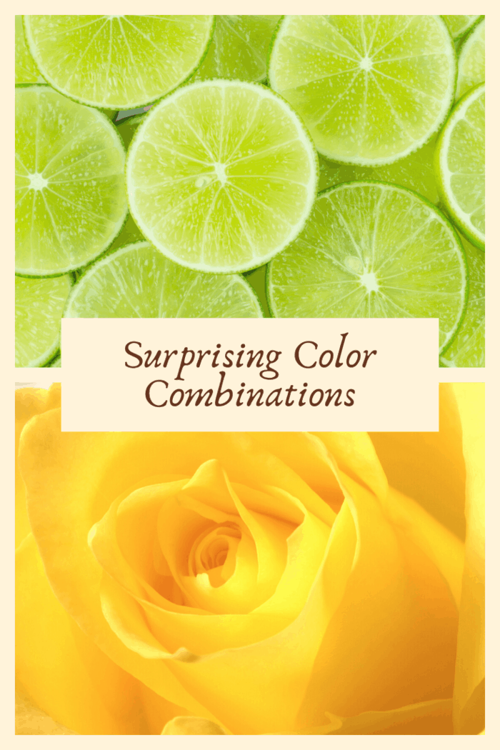 Image featuring surprising color combinations with vibrant lime green slices and a bright yellow rose, highlighting fresh and unexpected color pairings.