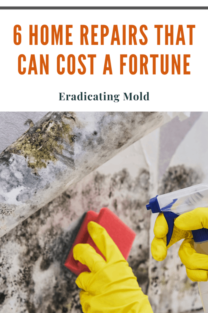 Mold is a problem that you can easily miss. It grows in the warm, dark areas you don’t usually check up on that often. If you come across mold while cleaning or begin suffering ill effects and get your home tested, removing it can be a pain.