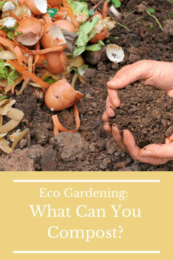 You can compost anything that rots. Fruit, vegetables, even coffee grounds and the paper filters that hold them. If they can deteriorate and rot away, they can go in your compost pile.