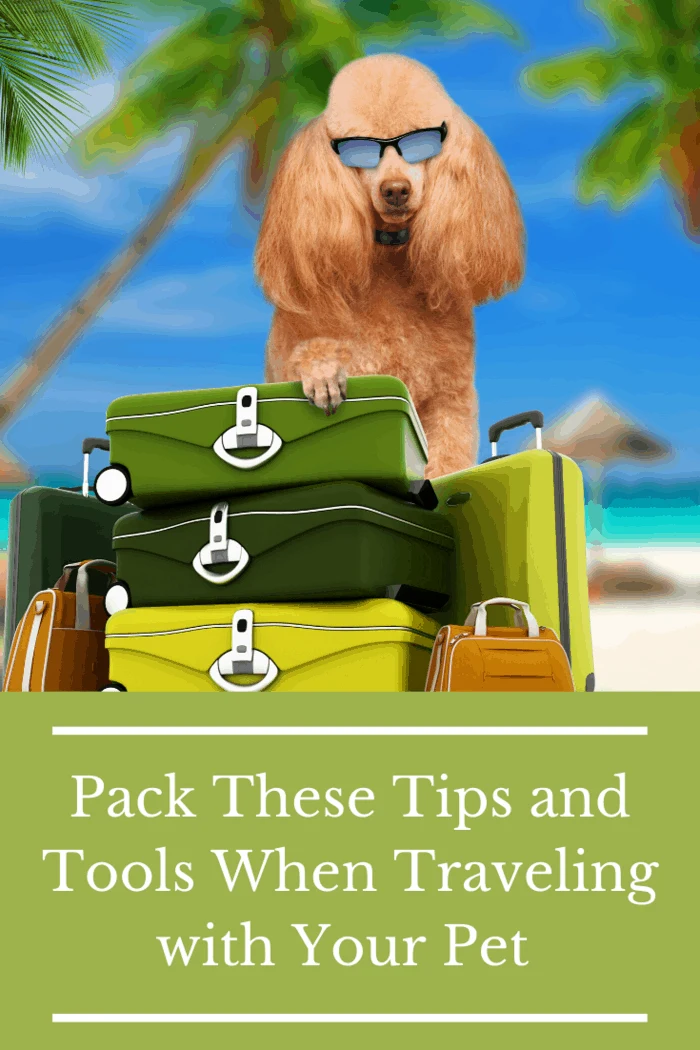 Traveling with pets can be fun. The key is to make sure that they are properly cared for while away from home