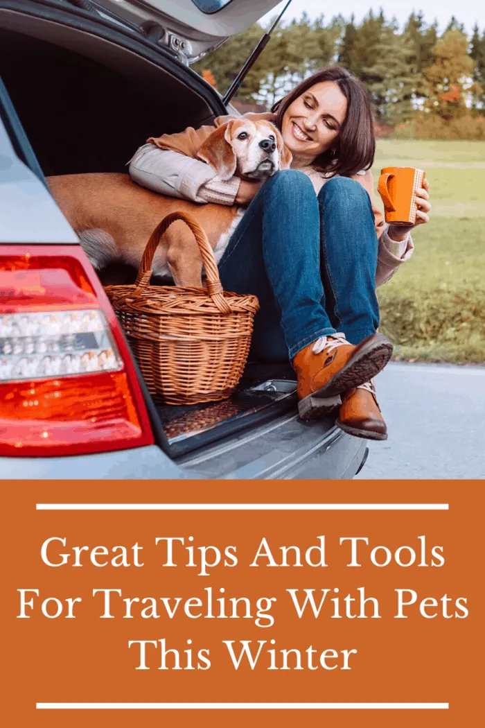 Don't stuff your pet into a tiny spot in the car. This will make them uncomfortable. Create a nice comfy bed where they can happily sleep during the hours of travel.
