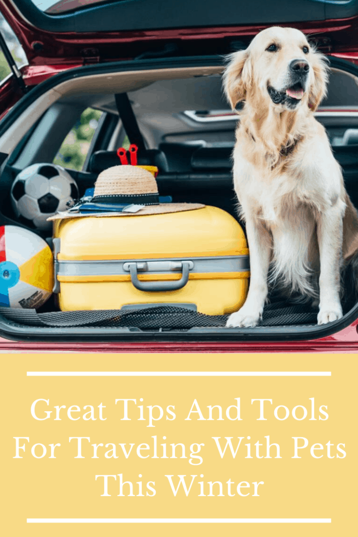 For anyone traveling with pets this winter, there are some crucial tips that you should know. This article takes a looking at how to vacation with pets so that your fur buddy will be as warm and safe.