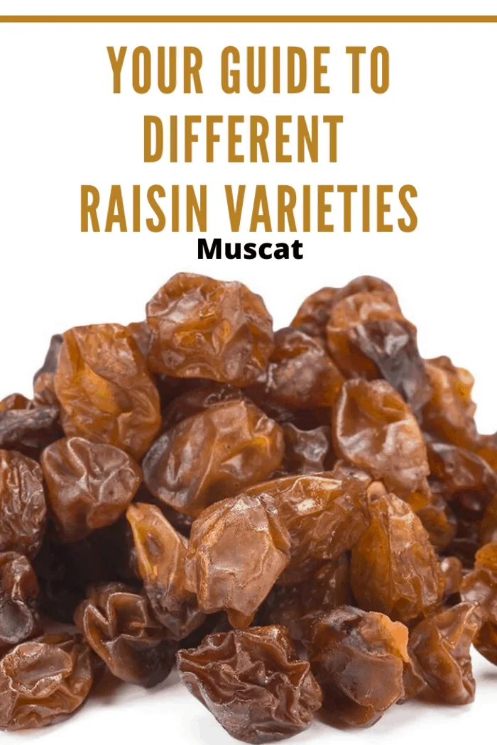 Close-up of Muscat raisins showcasing their rich brown color and texture.