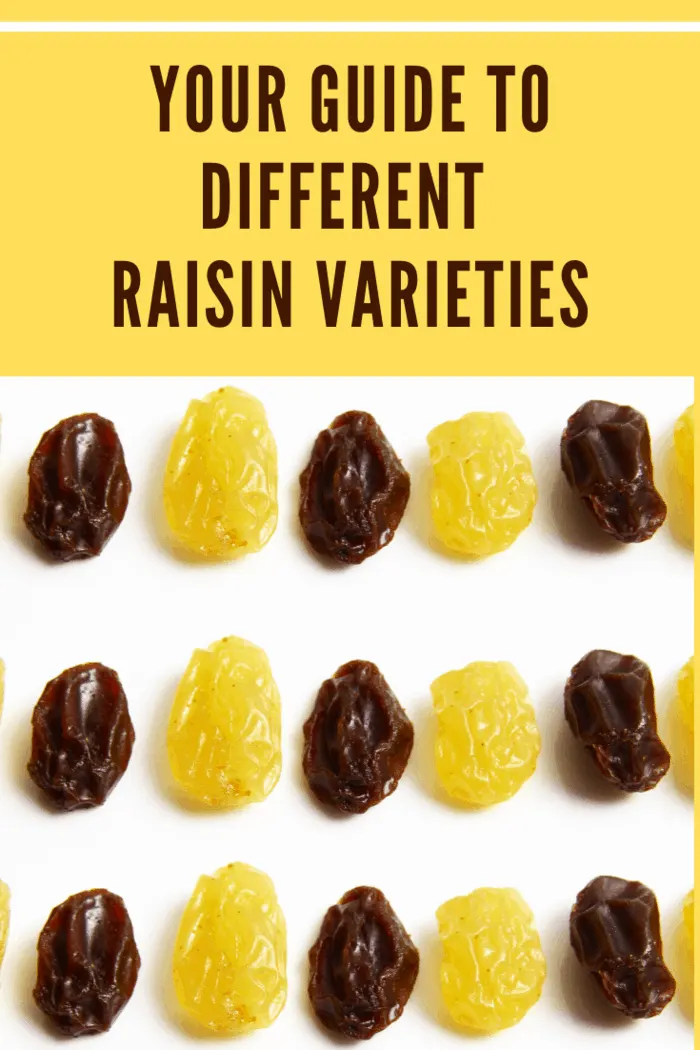 Different raisin varieties, yellow and brown, arranged in rows, highlighting their colors and textures.