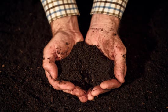 In our quest to change that, at least for my family, we should decide to begin with creating an environmentally secure home. This is the time to begin to learn about composting.