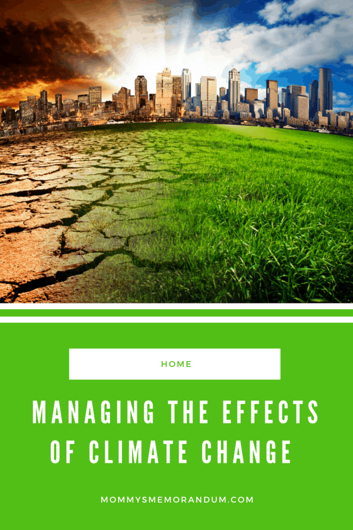 You don't have to suffer from the harsh effects of climate change if you have the right tools to safeguard yourself and those you love. Read on to learn about the top innovations that aim to counter the effects of climate change.