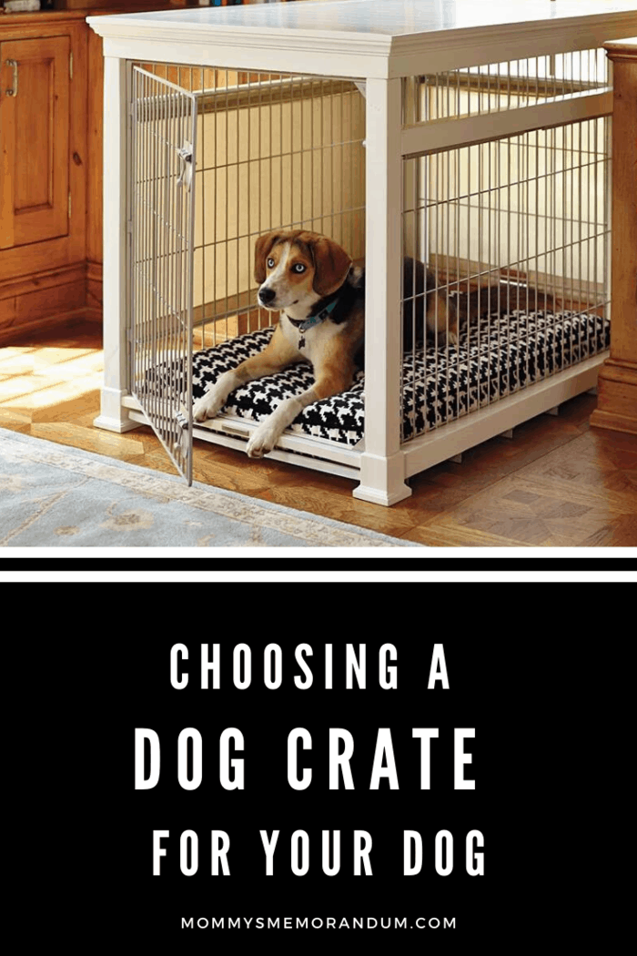 What are the Solutions for a Noisy Dog in a Crate?