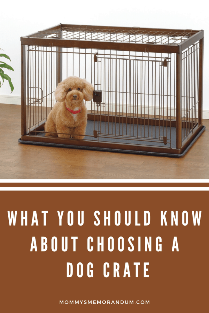 What are the Solutions for a Noisy Dog in a Crate?