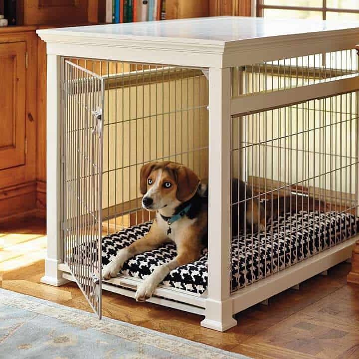 What are the Solutions for a Noisy Dog in a Crate?