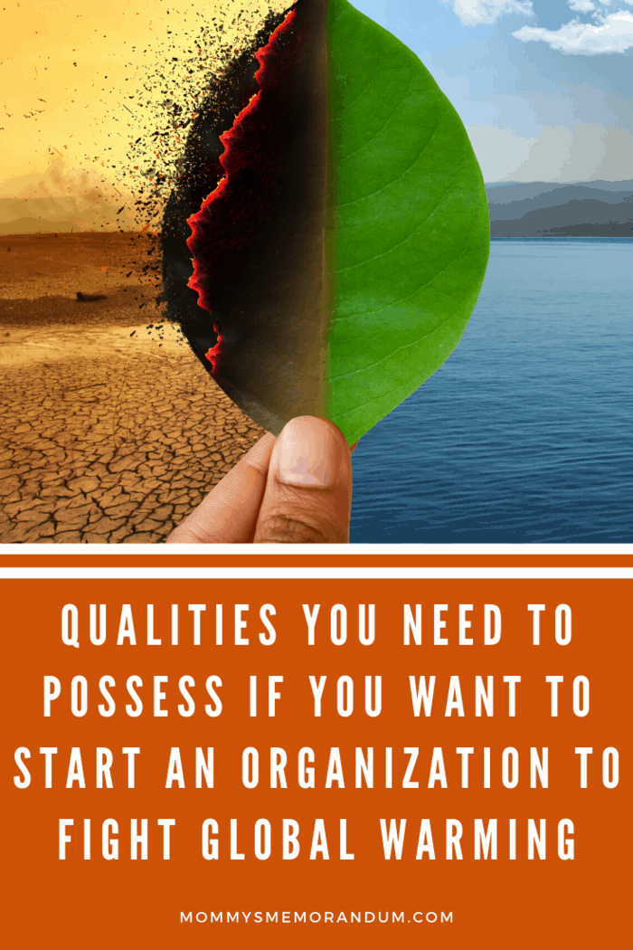 Qualities You Need to Possess if You Want to Start an Organization to Fight Global Warming