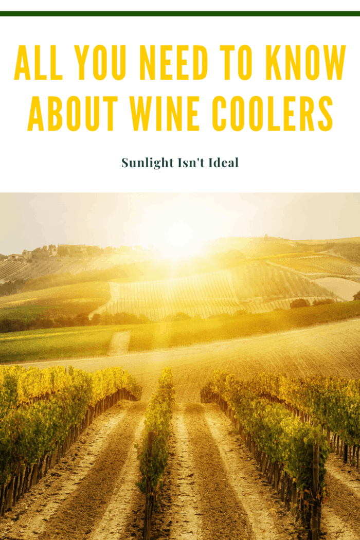 Sunlight deteriorates wine and even electric lights can cause labels to fade. So make sure the sun does not shine in your fridge at any time of day, keeping in mind that the sun changes every season.
