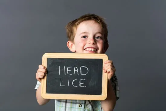 Although lice are a nuisance, they don't have to be incredibly difficult to get rid of. Here are some ways to effectively treat a lice infestation.