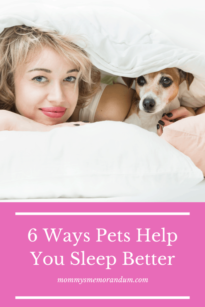 Having your dog sleeping in your bedroom creates a sense of safety for both owner and pet.