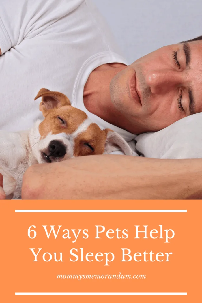 Because your dog can reduce hyperarousal and hypervigilance, they will, in turn, reduce your insomnia.