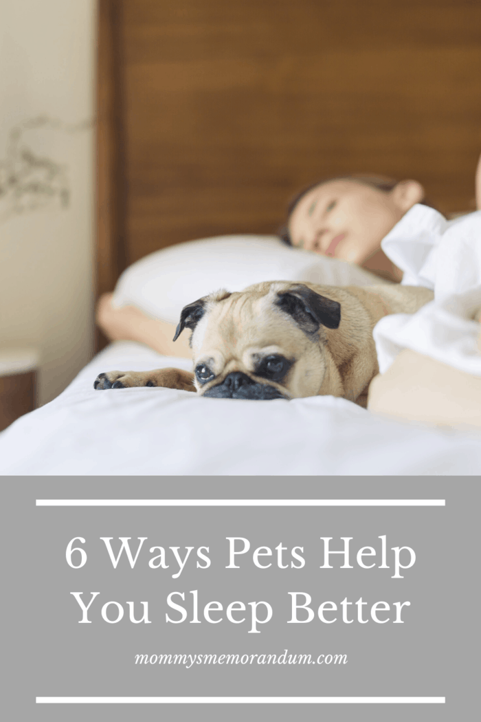 Welcoming your pet into your bed and having it reduce nightmares or help you get back to sleep afterward is one of the best reasons.