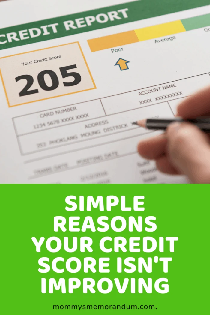 205 credit score report