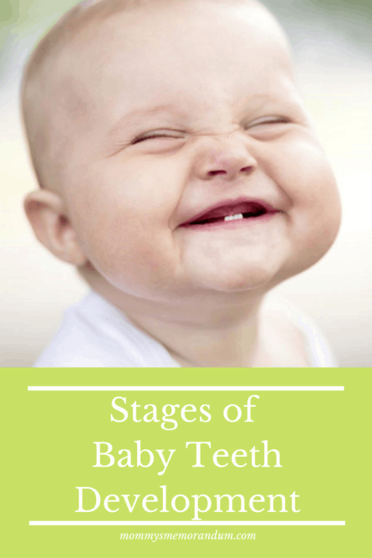 9 month old baby teeth development